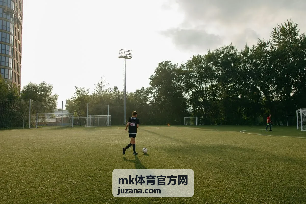 mk体育官方网任务奖励结算节奏公告配图