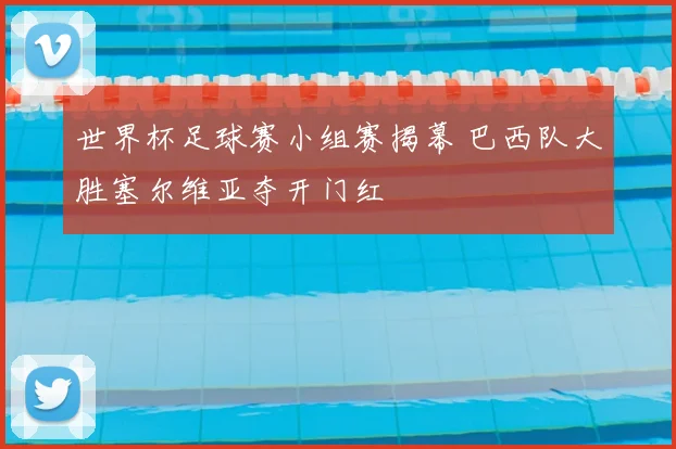 世界杯足球赛小组赛揭幕 巴西队大胜塞尔维亚夺开门红