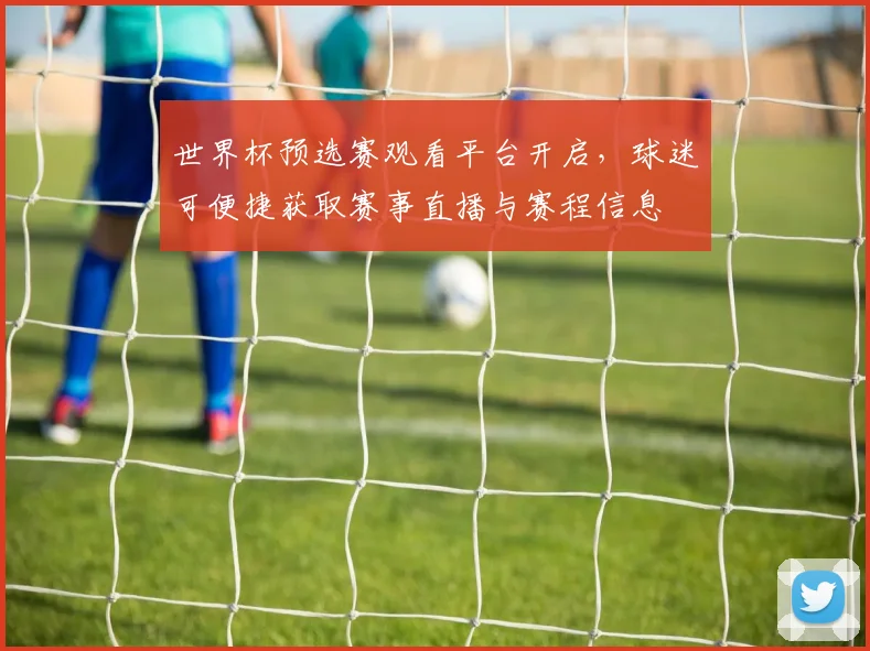 世界杯预选赛观看平台开启，球迷可便捷获取赛事直播与赛程信息
