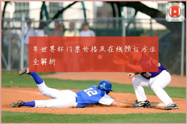 年世界杯门票价格及在线预订方法全解析