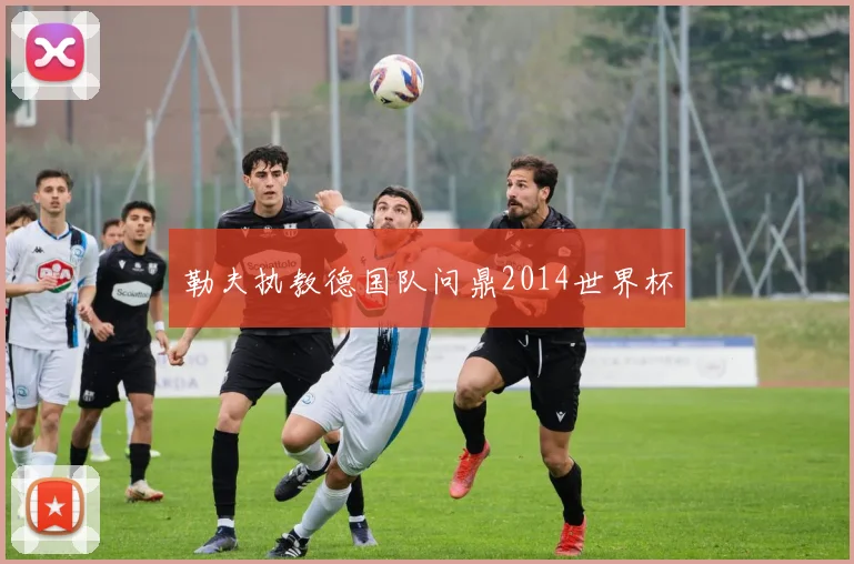 勒夫执教德国队问鼎2014世界杯