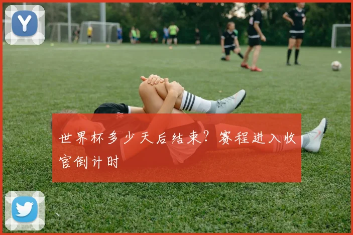 世界杯多少天后结束？赛程进入收官倒计时