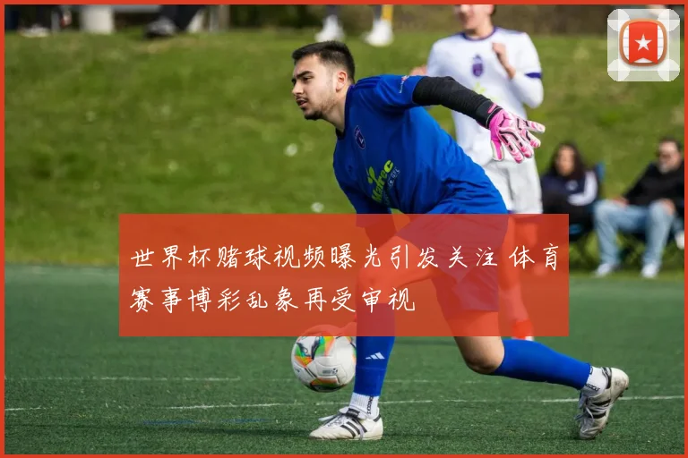 世界杯赌球视频曝光引发关注 体育赛事博彩乱象再受审视