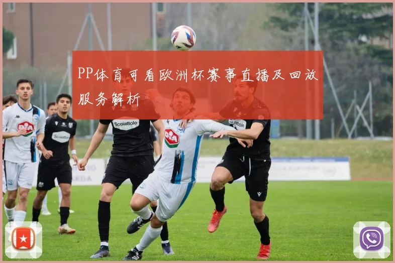 PP体育可看欧洲杯赛事直播及回放服务解析
