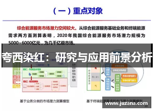 夸西染红：研究与应用前景分析